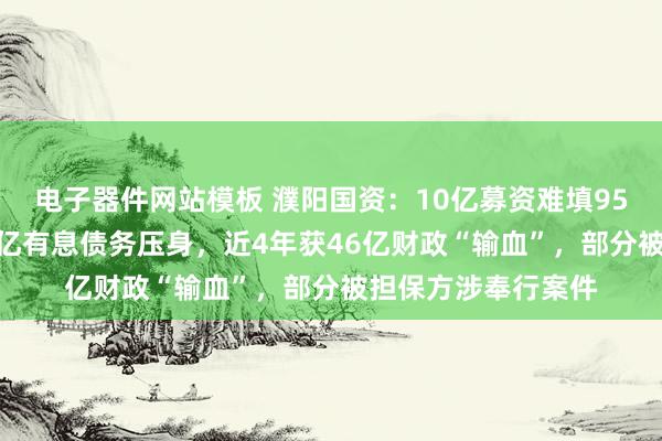 电子器件网站模板 濮阳国资：10亿募资难填95亿短债缺口，284亿有息债务压身，近4年获46亿财政“输血”，部分被担保方涉奉行案件