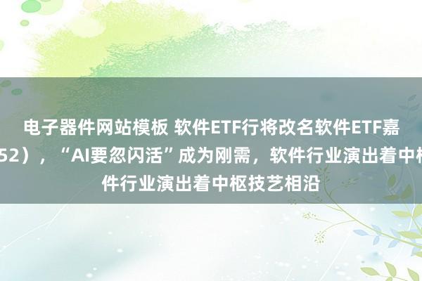 电子器件网站模板 软件ETF行将改名软件ETF嘉实（159852），“AI要忽闪活”成为刚需，软件行业演出着中枢技艺相沿