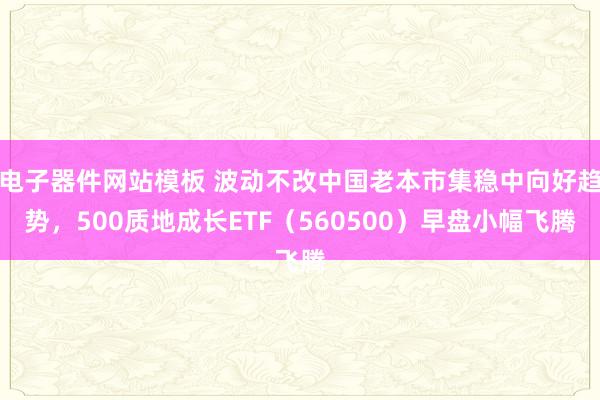 电子器件网站模板 波动不改中国老本市集稳中向好趋势，500质地成长ETF（560500）早盘小幅飞腾