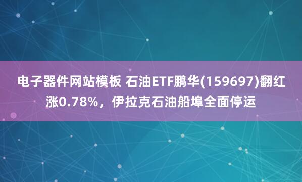 电子器件网站模板 石油ETF鹏华(159697)翻红涨0.78%，伊拉克石油船埠全面停运