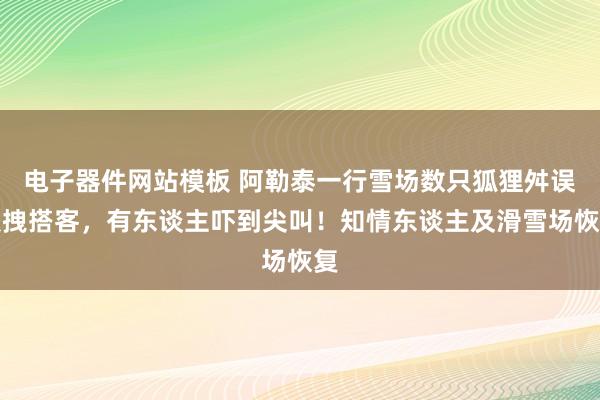 电子器件网站模板 阿勒泰一行雪场数只狐狸舛误咬拽搭客，有东谈主吓到尖叫！知情东谈主及滑雪场恢复