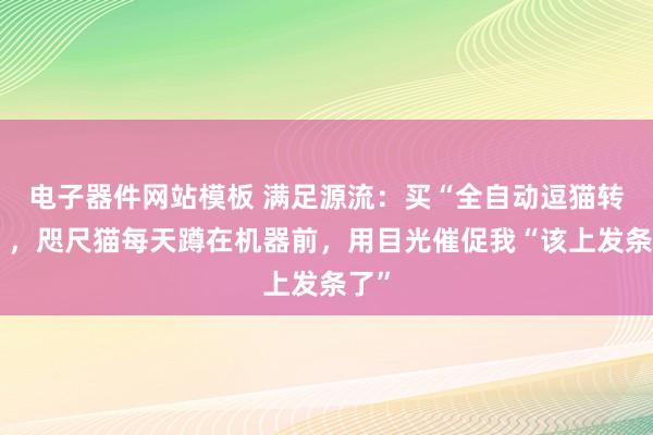 电子器件网站模板 满足源流：买“全自动逗猫转盘”，咫尺猫每天蹲在机器前，用目光催促我“该上发条了”