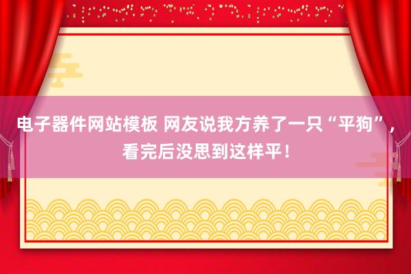 电子器件网站模板 网友说我方养了一只“平狗”，看完后没思到这样平！