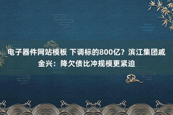 电子器件网站模板 下调标的800亿？滨江集团戚金兴：降欠债比冲规模更紧迫