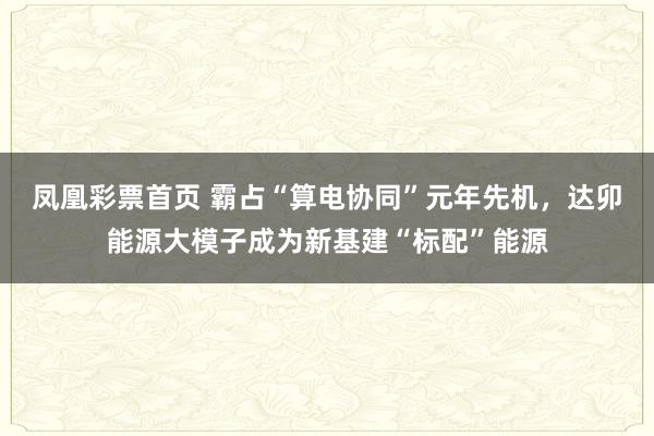 凤凰彩票首页 霸占“算电协同”元年先机，达卯能源大模子成为新基建“标配”能源