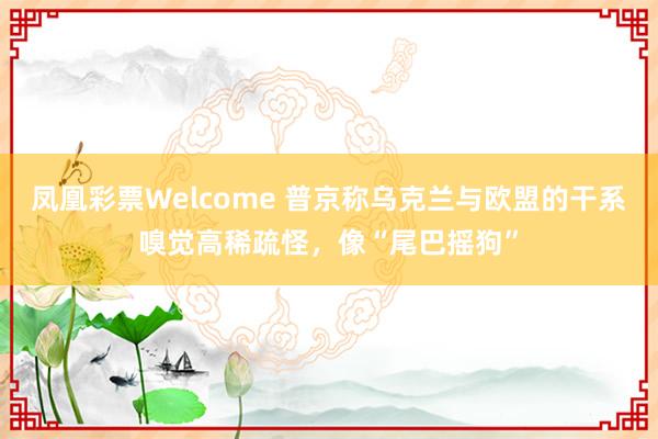 凤凰彩票Welcome 普京称乌克兰与欧盟的干系嗅觉高稀疏怪，像“尾巴摇狗”