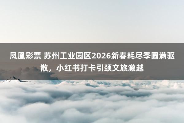 凤凰彩票 苏州工业园区2026新春耗尽季圆满驱散，小红书打卡引颈文旅激越