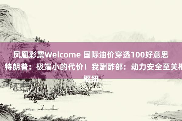 凤凰彩票Welcome 国际油价穿透100好意思元，特朗普：极端小的代价！我酬酢部：动力安全至关枢纽