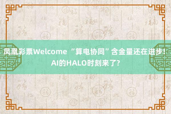 凤凰彩票Welcome “算电协同”含金量还在进步! AI的HALO时刻来了?