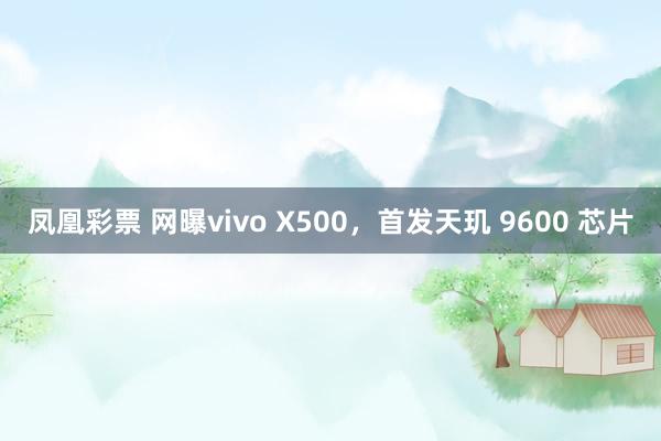 凤凰彩票 网曝vivo X500，首发天玑 9600 芯片
