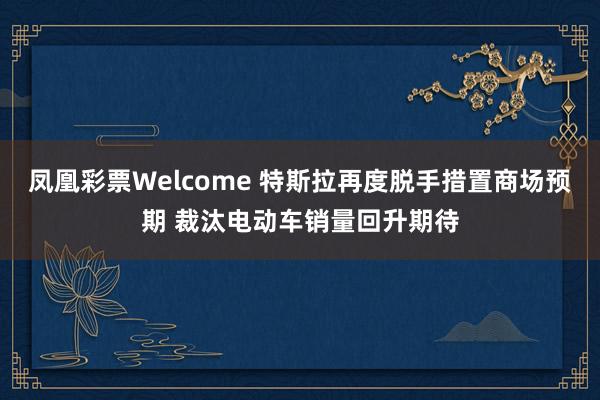 凤凰彩票Welcome 特斯拉再度脱手措置商场预期 裁汰电动车销量回升期待