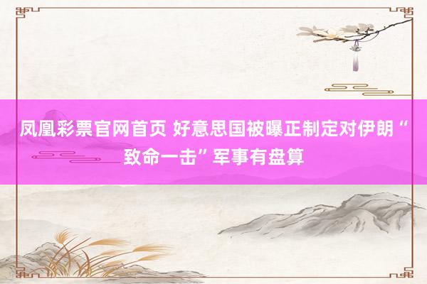 凤凰彩票官网首页 好意思国被曝正制定对伊朗“致命一击”军事有盘算