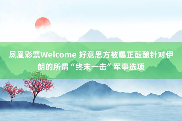 凤凰彩票Welcome 好意思方被曝正酝酿针对伊朗的所谓“终末一击”军事选项