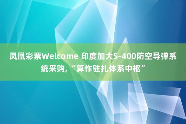 凤凰彩票Welcome 印度加大S-400防空导弹系统采购， “算作驻扎体系中枢”