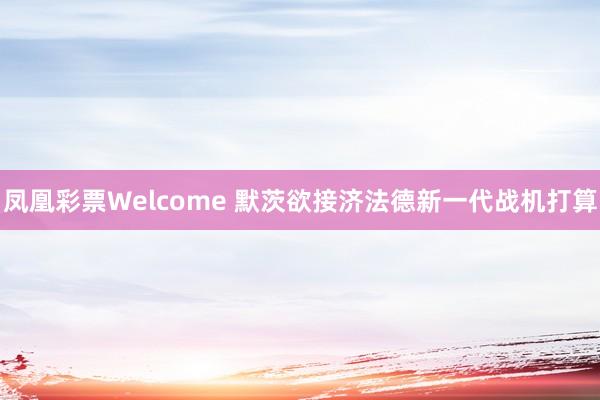 凤凰彩票Welcome 默茨欲接济法德新一代战机打算