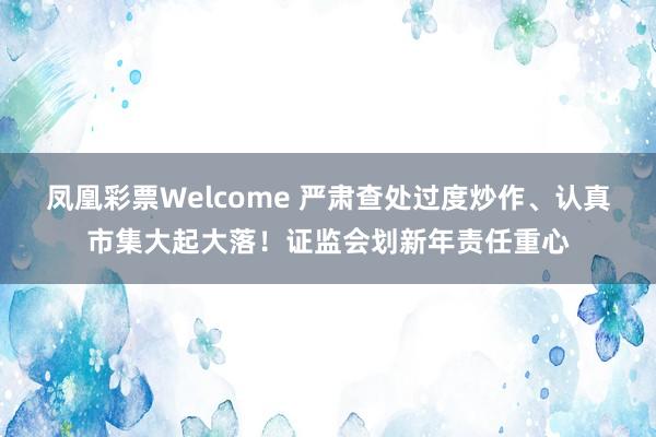 凤凰彩票Welcome 严肃查处过度炒作、认真市集大起大落！证监会划新年责任重心