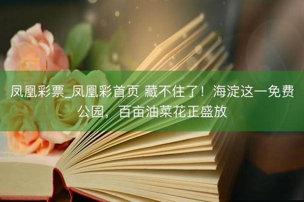 凤凰彩票_凤凰彩首页 藏不住了！海淀这一免费公园，百亩油菜花正盛放