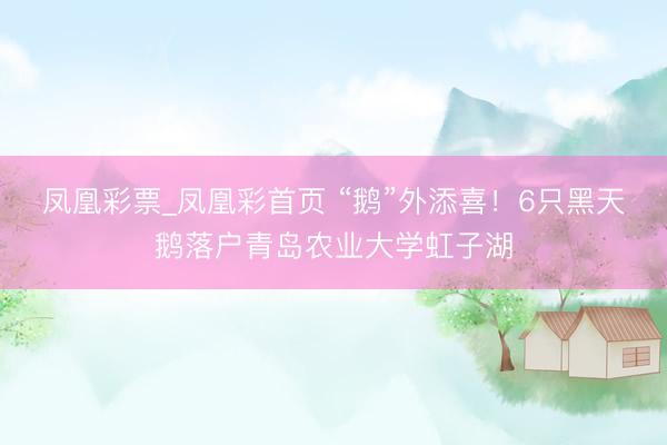 凤凰彩票_凤凰彩首页 “鹅”外添喜！6只黑天鹅落户青岛农业大学虹子湖