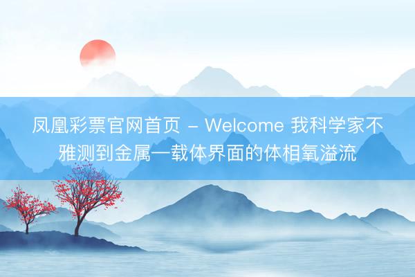 凤凰彩票官网首页 - Welcome 我科学家不雅测到金属—载体界面的体相氧溢流