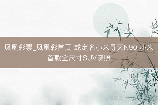凤凰彩票_凤凰彩首页 或定名小米寻天N90 小米首款全尺寸SUV谍照