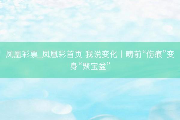 凤凰彩票_凤凰彩首页 我说变化丨畴前“伤痕”变身“聚宝盆”