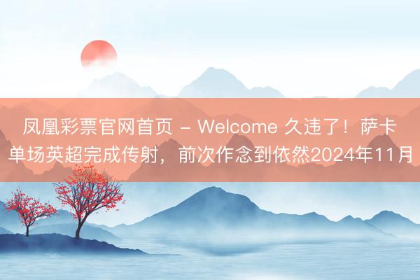凤凰彩票官网首页 - Welcome 久违了！萨卡单场英超完成传射，前次作念到依然2024年11月