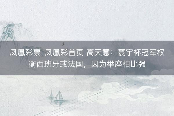 凤凰彩票_凤凰彩首页 高天意：寰宇杯冠军权衡西班牙或法国，因为举