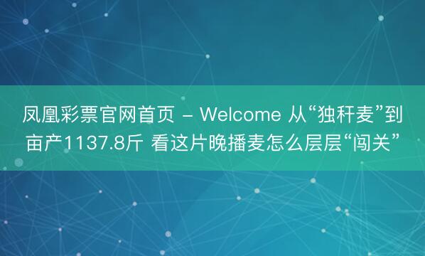 凤凰彩票官网首页 - Welcome 从“独秆麦”到亩产1137.8斤 看这片晚播麦怎么层层“闯关”