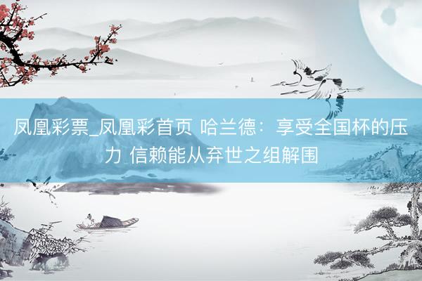凤凰彩票_凤凰彩首页 哈兰德：享受全国杯的压力 信赖能从弃世之组解围