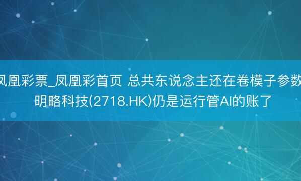 凤凰彩票_凤凰彩首页 总共东说念主还在卷模子参数, 明略科技(2718.HK)仍是运行管AI的账了